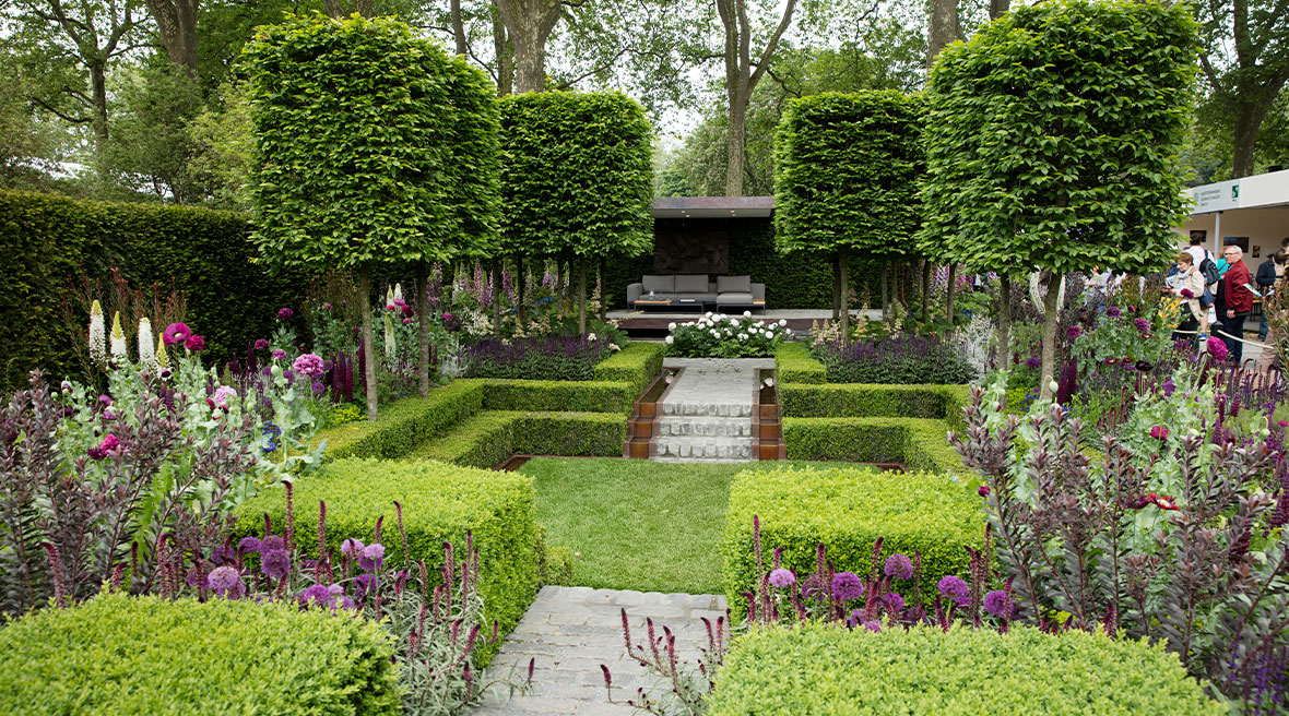 klassieke tuin met vierkante buxushagen, vierkant gesnoeide bomen en paarse bloemen