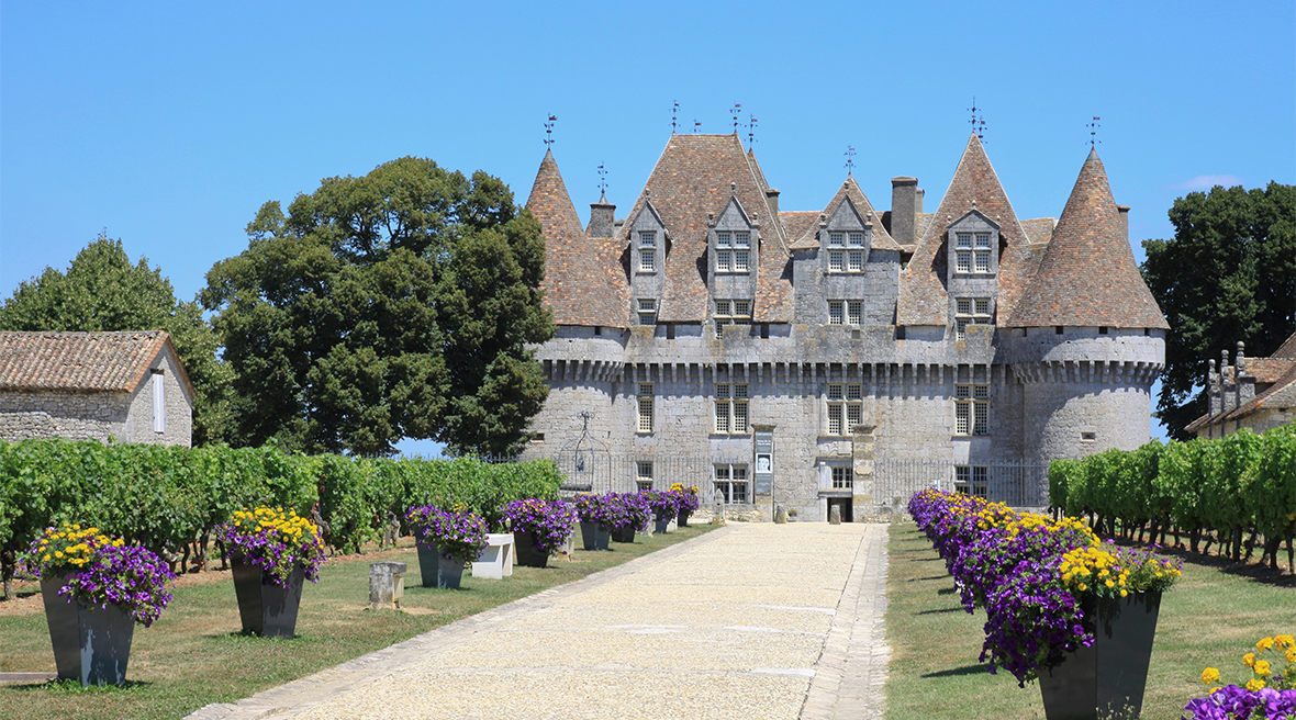 A classic French chateau stands at the end of a wide drive, flanked by rows of purple and yellow flowers. Cloudless blue sky.