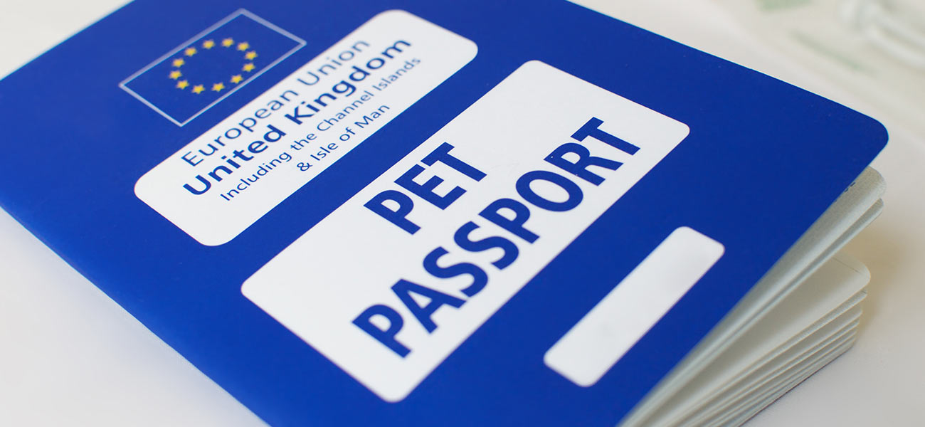 How Will Brexit Affect My Pet Passport 