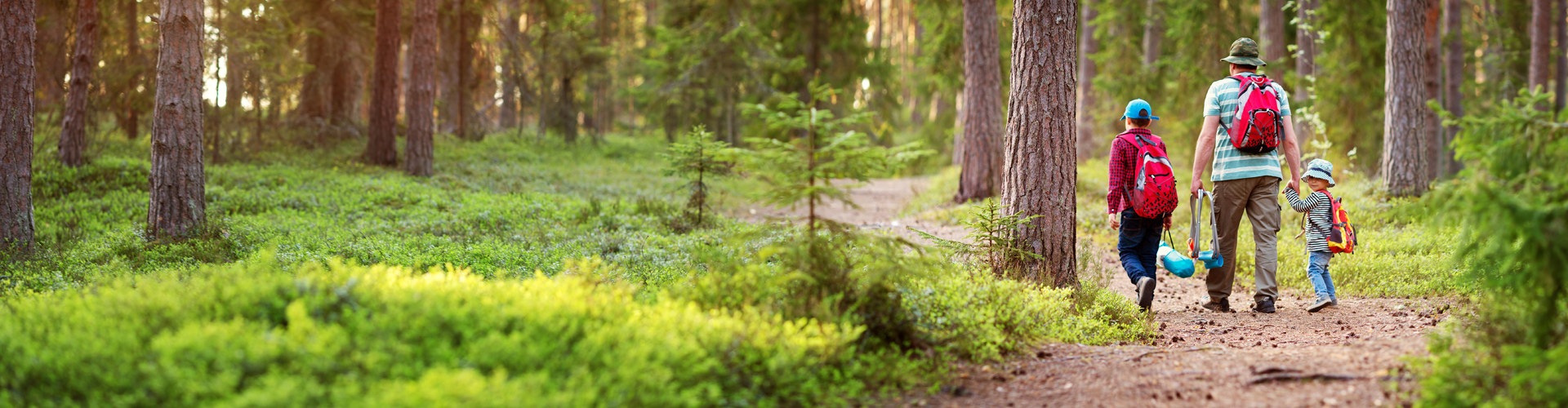 Comprehensive Travel Insurance Eurotunnel Le Shuttle